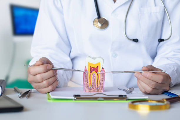 Best After-Hours Emergency Dentist in Woodcliff Lake, NJ